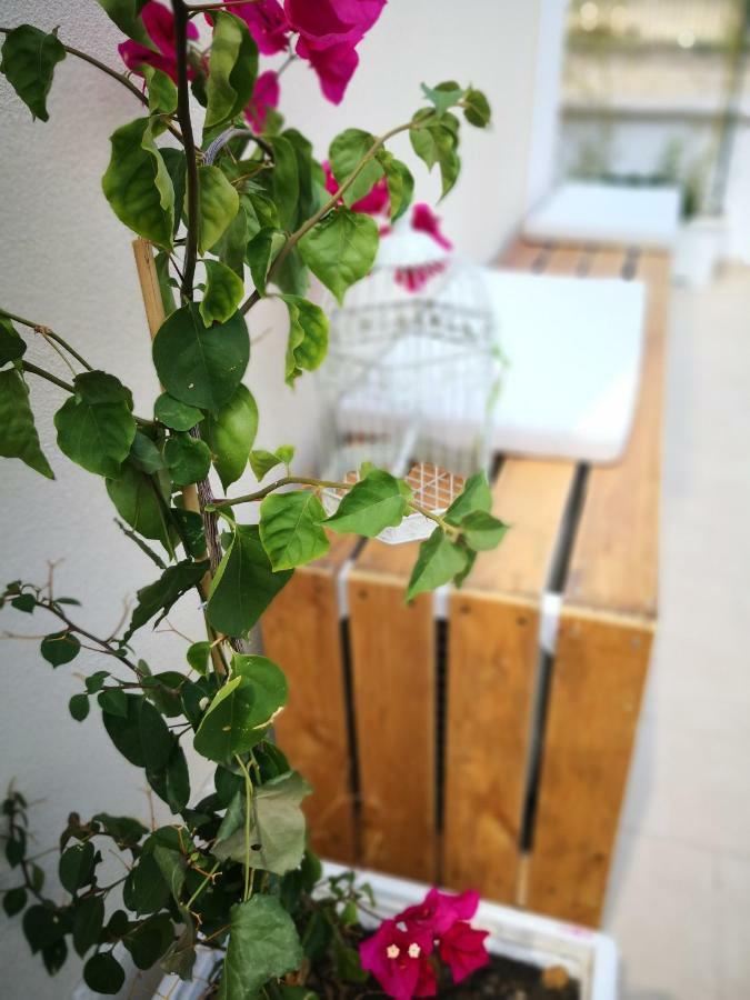 La Roche Bed & Breakfast Lecce Exterior foto